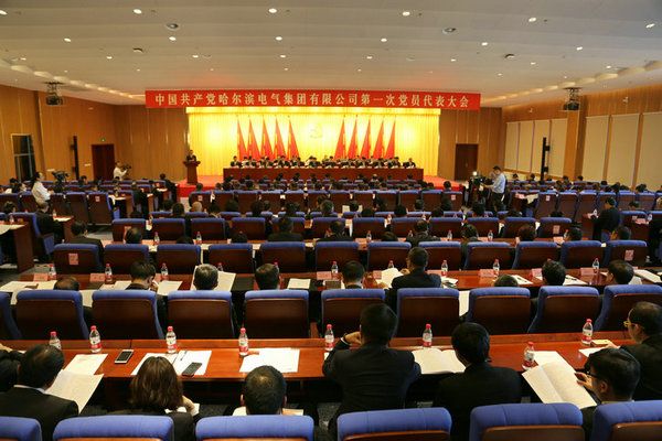 中国共产党K8凯发第一次党员代表大会隆沉召开