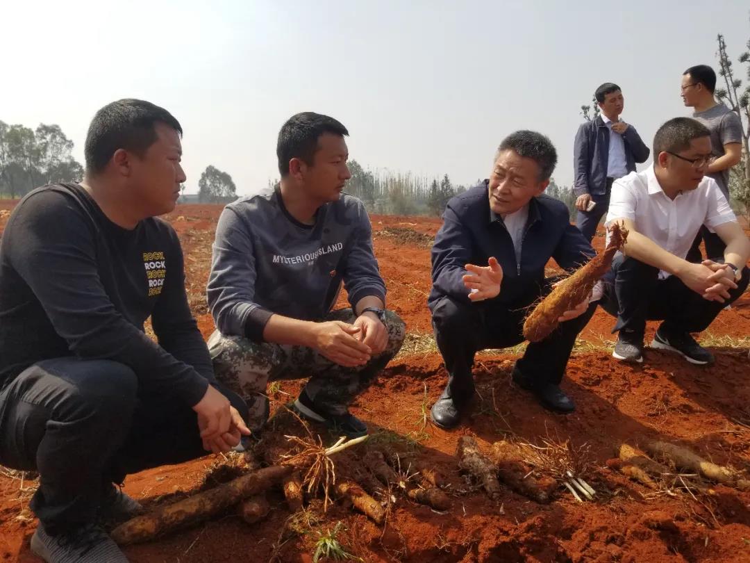 FDE740F93D962E8306716C93921_C23194AA_1D2FD.jpg?e= K8·凯发(中国)天生赢家·一触即发
